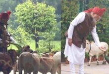 Photo of मोर को दाना खिलाया, गाय को चारा दिया…पीएम मोदी ने लाल किले पर जाने से पहले का वीडियो किया साझा