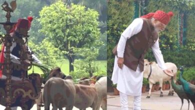 Photo of मोर को दाना खिलाया, गाय को चारा दिया…पीएम मोदी ने लाल किले पर जाने से पहले का वीडियो किया साझा