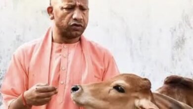 Photo of मुख्यमंत्री योगी के नेतृत्व में गोवंश संरक्षण को मिल रहा बढ़ावा