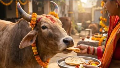 Photo of धनतेरस पर गाय को पहला निवाला खिलाना क्यों माना गया है सबसे बड़ा उपाय?