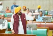 Photo of किसानों को बड़ी राहत, पंजाब के 80% खेतों तक पहुंचा नहरी पानी: भगवंत मान