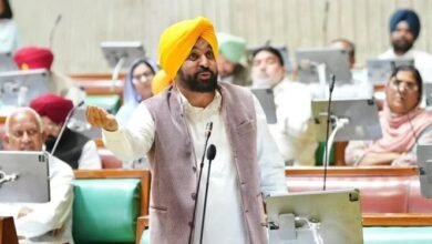 Photo of सिख संगत को मिले निर्बाध दर्शन, करतारपुर कॉरिडोर खोलने की मांग पर बोले CM मान