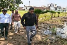Photo of “विकास भी, विरासत भी और जनसुविधा भी—धामी सरकार ने तेज की शहरों को संवारने की कवायद”